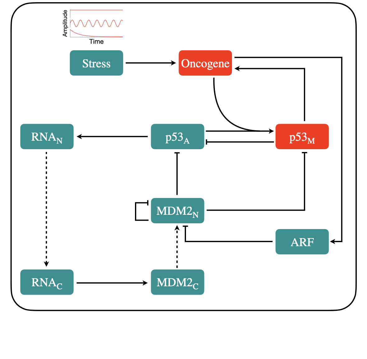 Plant Model