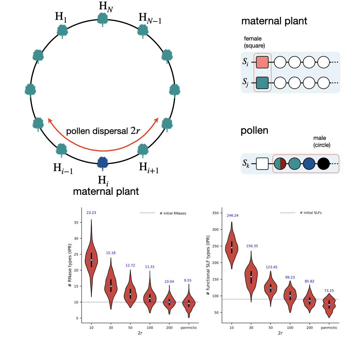 Plant Model